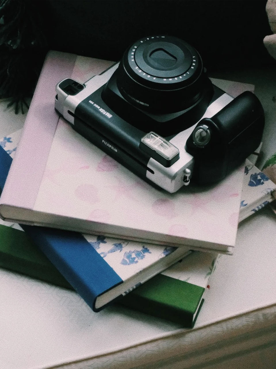 ALBUM SEASHELL PHOTO