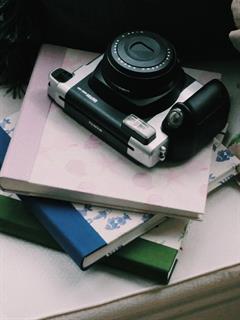ALBUM SEASHELL PHOTO