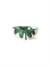 BOWL BOLD&BASICS CERAMICS PALMS GREEN