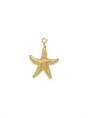 CHARM BIG SEASTAR
