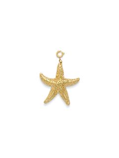 CHARM BIG SEASTAR