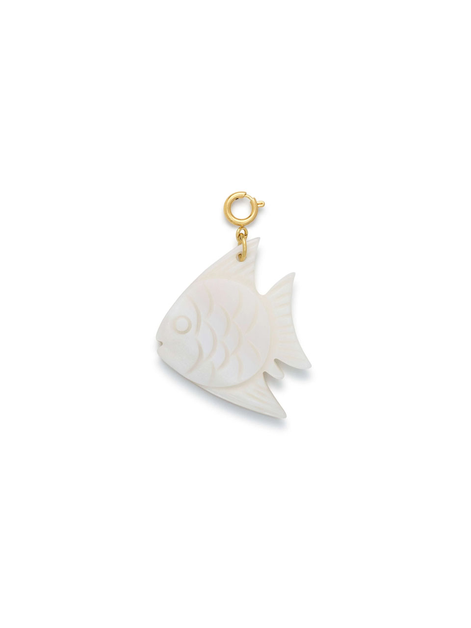 CHARM SHELL FISH