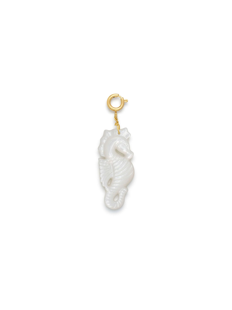 CHARM SHELL SEAHORSE