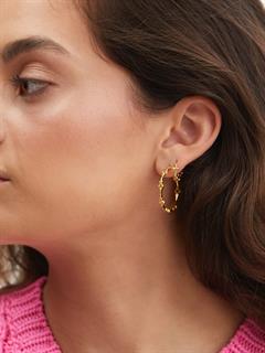 EARRINGS EDEN RING SILVER GOLDPLATED