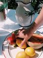 JUG PALM TREE