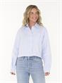 SHIRT LEXINGTON