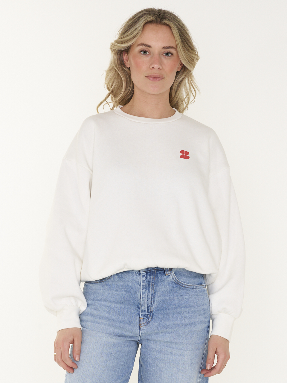 SWEAT BIBI DICTIONARY BIG