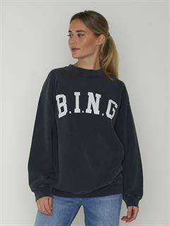 SWEAT TYLER BING