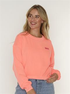 SWEATER IZUBIRD
