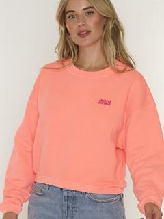 SWEATER IZUBIRD