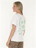 T-SHIRT GRAPHIC ROLL UP SLEEVE