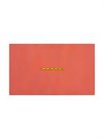 TABLECLOTH BAQUETTE