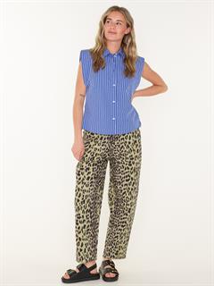 TOP GALICE